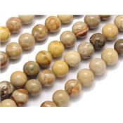 Jaspe Chrysanthème Perle Ronde Lisse Percée 6 mm (Lot de 20 perles)
