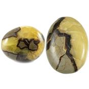 Septaria Gros galet pierre roulée (25 à 50 grammes)